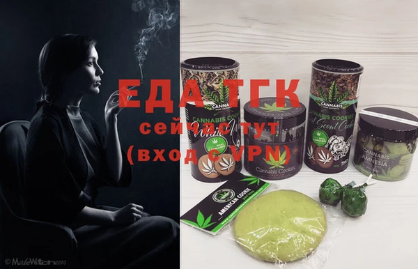 PSILOCYBIN Ельня